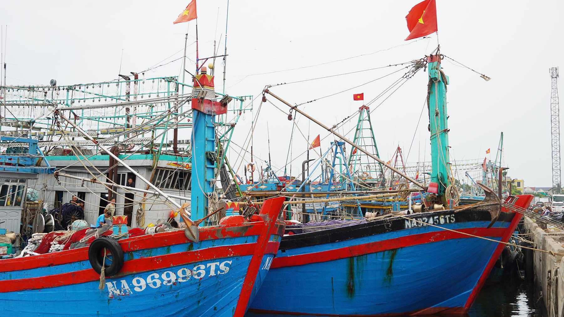 Triển khai thực hiện Thông báo số 680/TB-VPCP ngày 10/12/2025 và Thông báo số 686/TB-VPCP ngày 12/12/2025 của Văn phòng Chính phủ