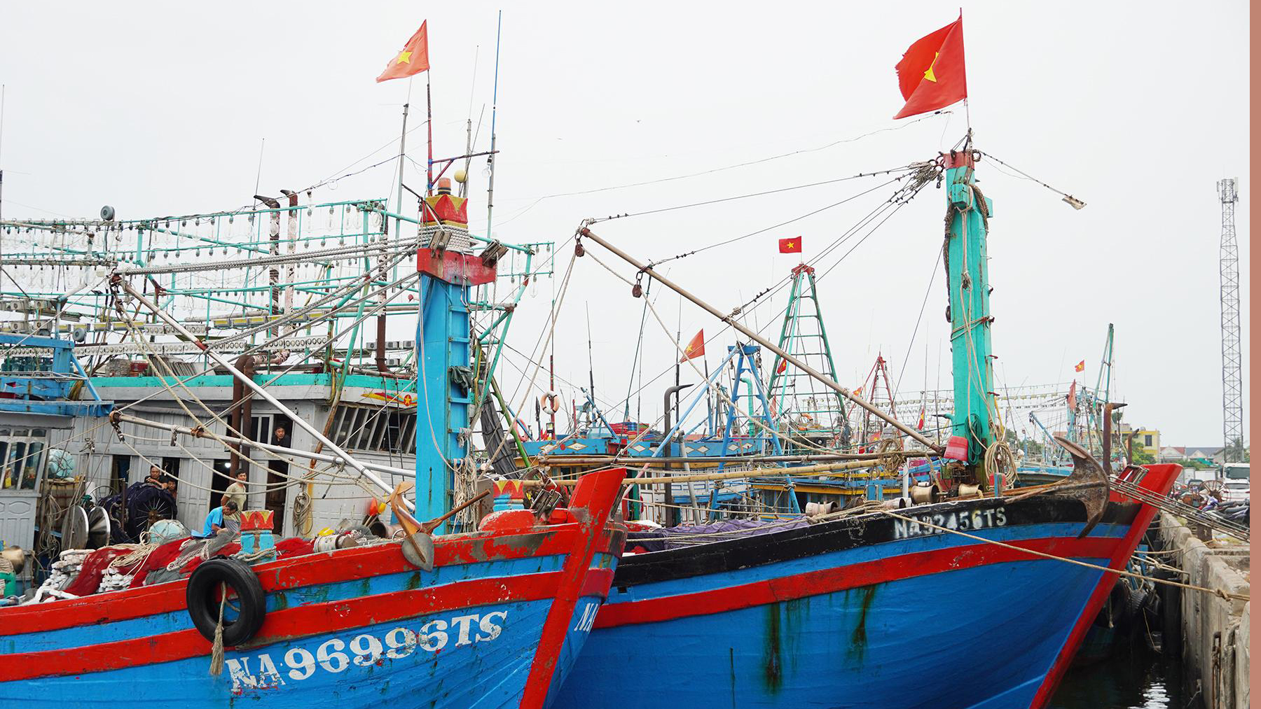 Triển khai thực hiện các nhiệm vụ chống khai thác IUU