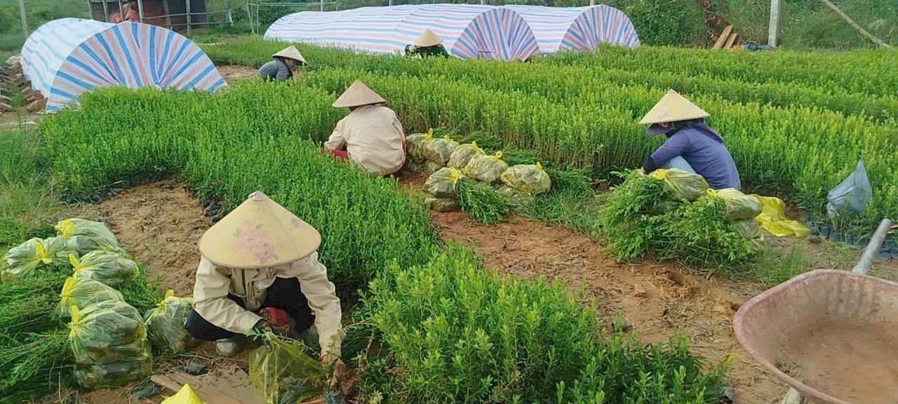 Thúc đẩy và tạo điều kiện thuận lợi để phụ nữ khởi nghiệp, phát triển doanh nghiệp