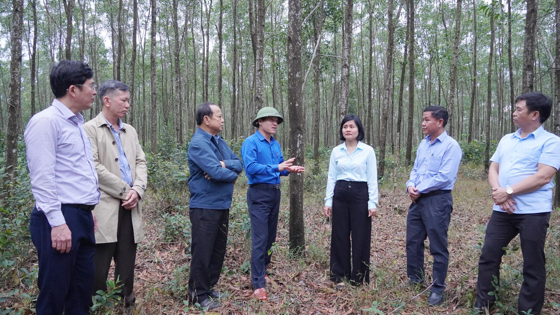 Phó Chủ tịch UBND tỉnh Lê Văn Bảo thăm, kiểm tra các cơ sở sản xuất khu vực phía Nam tỉnh