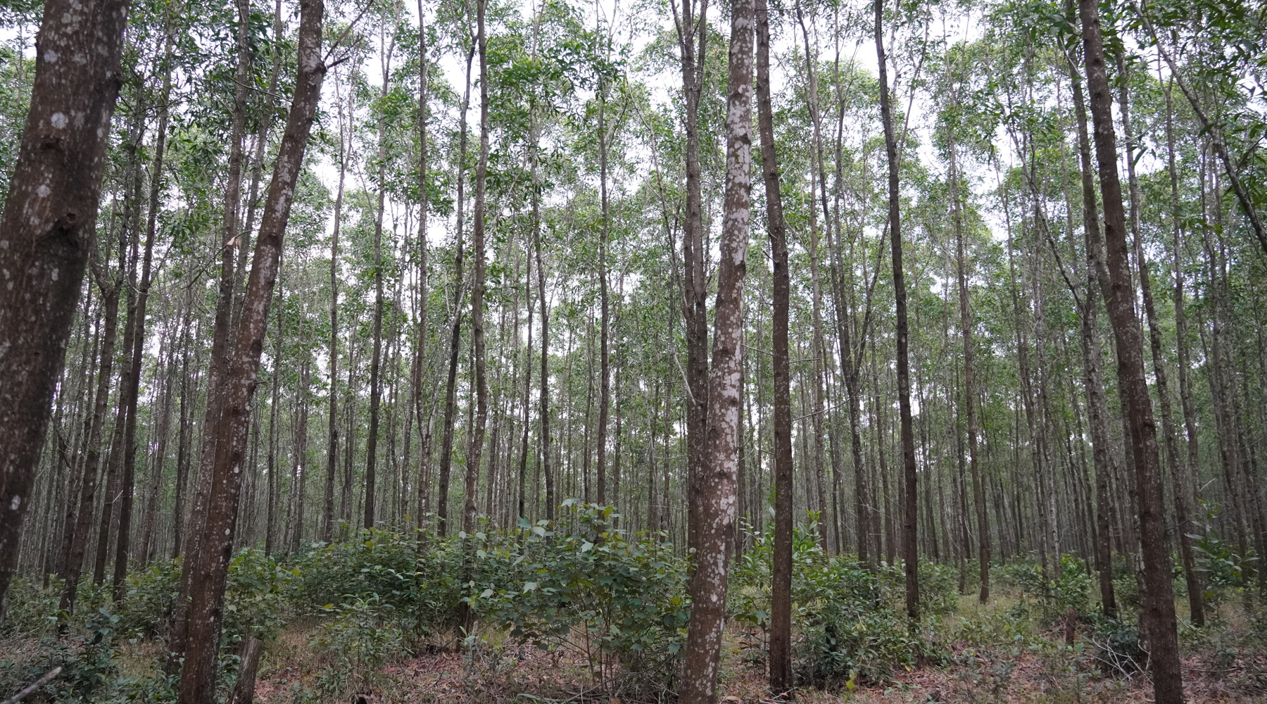 Nâng cao vị thế, năng lực nông dân xã Vĩnh Thủy trong phát triển nông nghiệp và xây dựng nông thôn mới