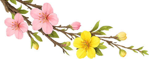 Chúc mừng năm mới